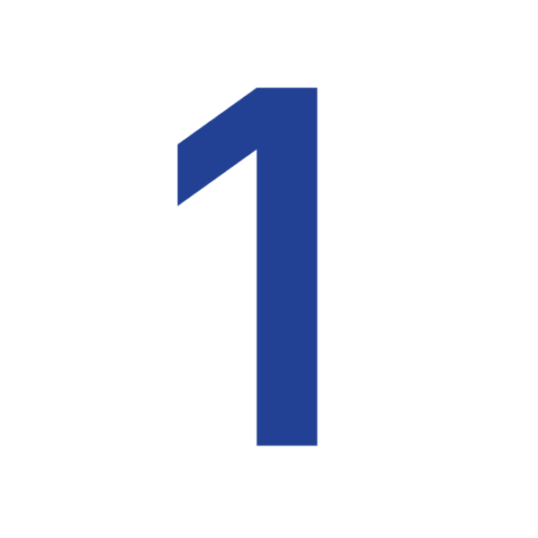 Numeri velici in DACRON - immagine 2