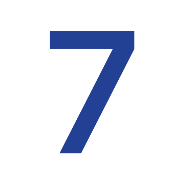 Numeri velici in DACRON - immagine 27