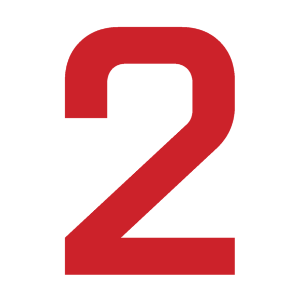 Numeri velici in DACRON - immagine 14